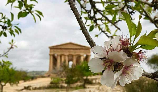 Sagra del Mandorlo in Fiore ad Agrigento a Agrigento