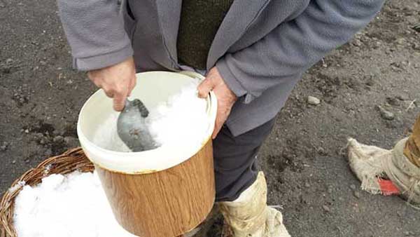 Festa della Neve a Polizzi Generosa a Polizzi Generosa