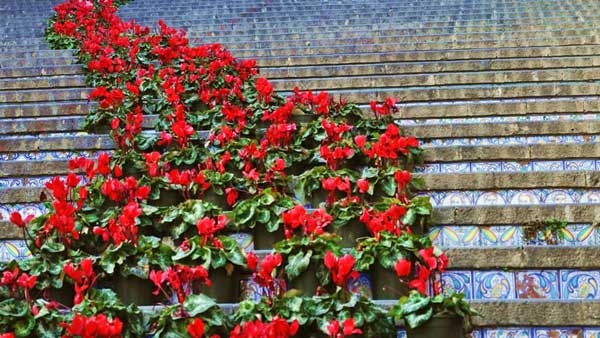 La Scala Infiorata a Caltagirone a Caltagirone