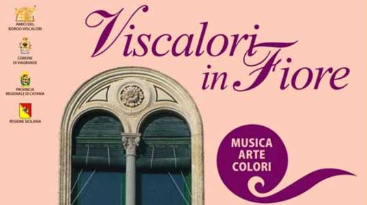 Viscalori in fiore a Viagrande a Viagrande