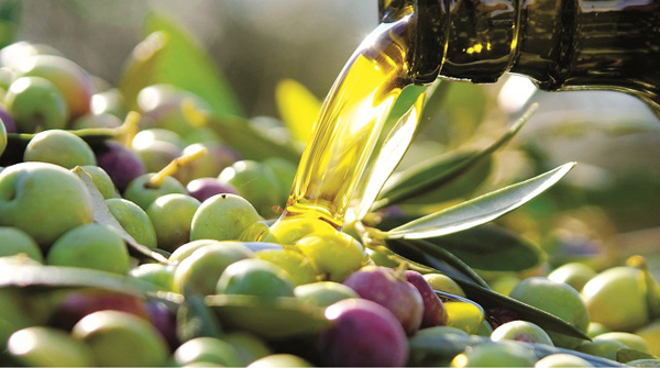 Sagra dell’Olio extravergine d'oliva a Ragalna a Ragalna