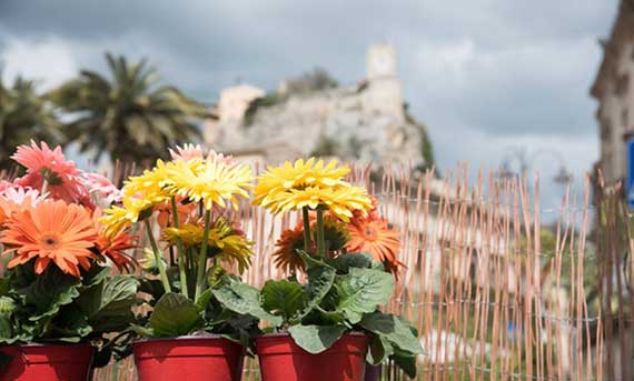 Modica Flower Show a Modica