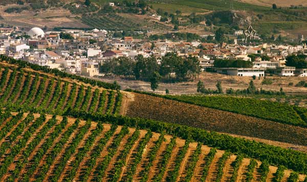 Cantine Aperte a Gibellina a Gibellina