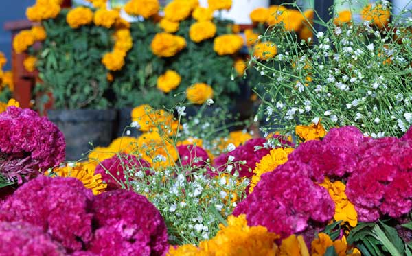 Festa di Primavera di Venetico a Venetico