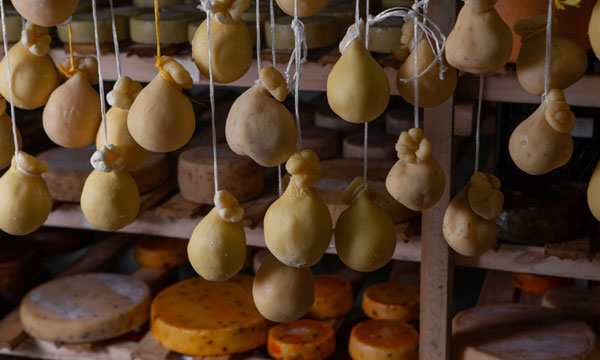 Collesano Cheese Festival  a Collesano