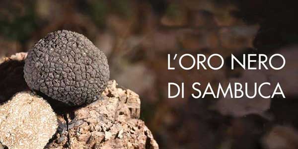 Sagra del Tartufo a Sambuca di Sicilia  a Sambuca di Sicilia