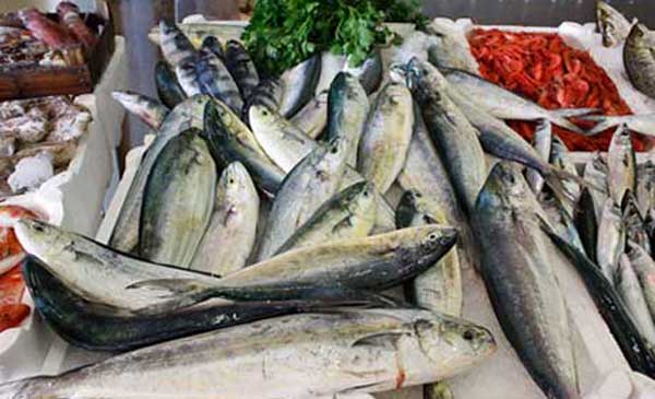 Tempu ri Capuna a San Vito Lo Capo a San Vito Lo Capo